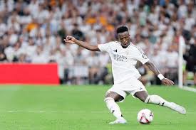 我们期待看 我们期待看